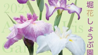 赤堀花しょうぶ園」開園について | 伊勢崎市観光物産協会