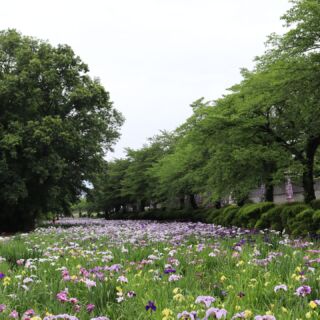 伊勢崎市観光物産協会 公式 ホームページ